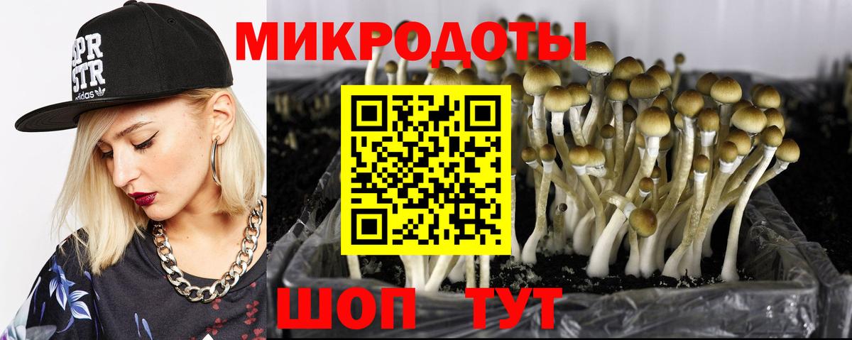 Галлюциногенные грибы ЛСД Благодарный