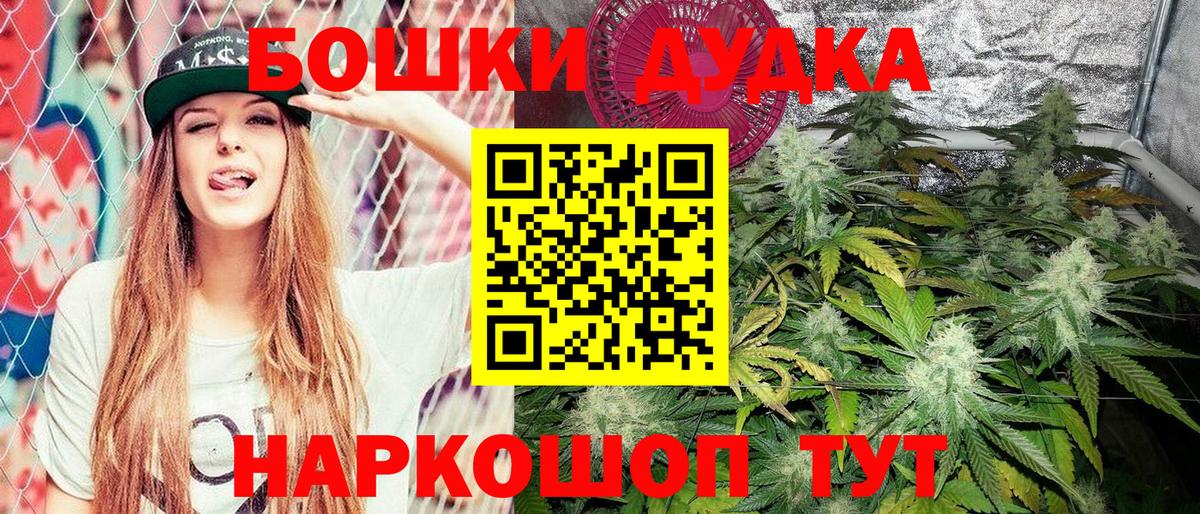 Бошки марихуана ГИДРОПОН  Вход с VPN  Благодарный  Каннабис LSD WEED  Бошки марихуана планчик 